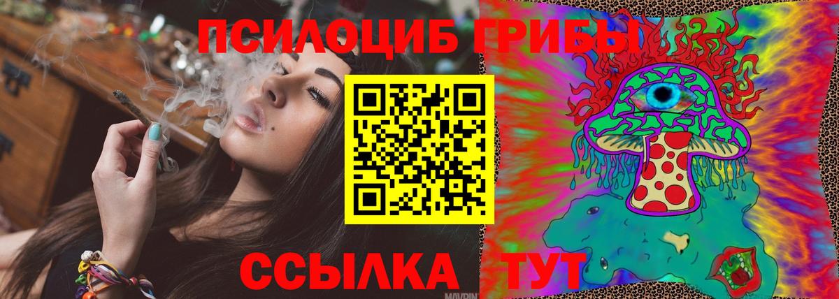 Псилоцибиновые грибы Cubensis  Галлюциногенные грибы Psilocybine cubensis  Тара  Вход с VPN 