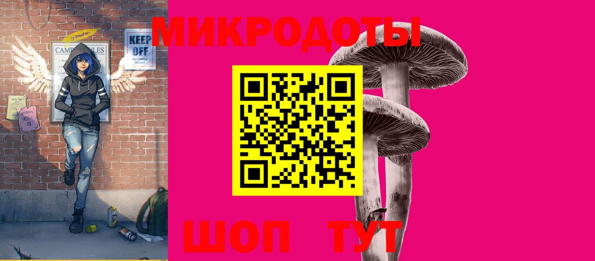 Галлюциногенные грибы Psilocybe Тара